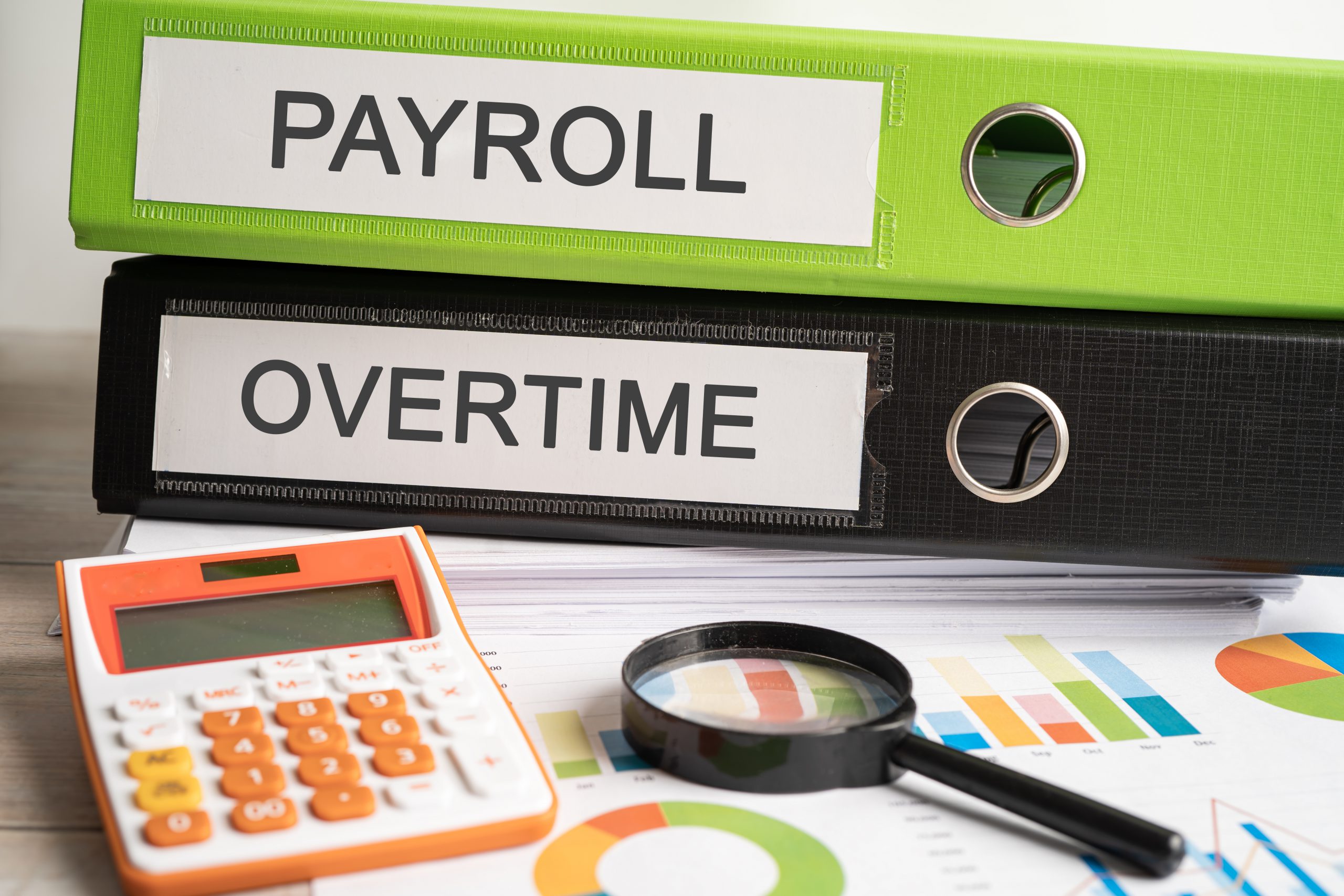 Employee Payroll Management Module in ERP Software